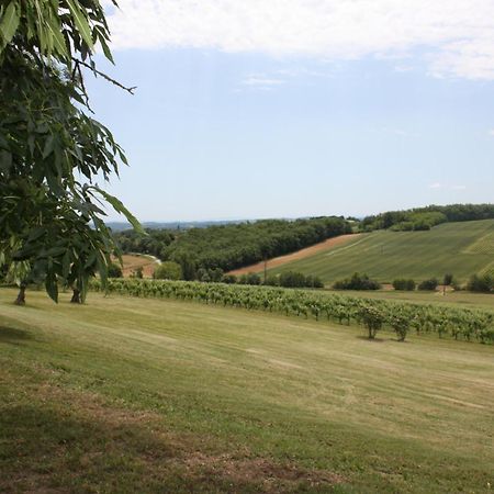 Domaine De Perches Panzió Gaillac Kültér fotó