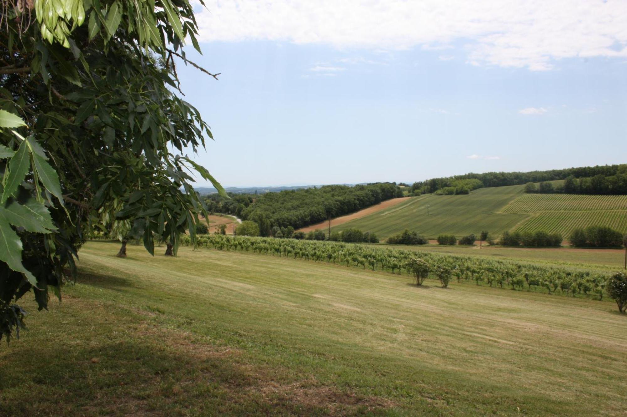 Domaine De Perches Panzió Gaillac Kültér fotó